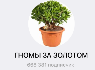 лого Гномы за золотом