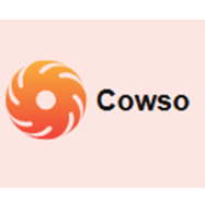 Cowso лого