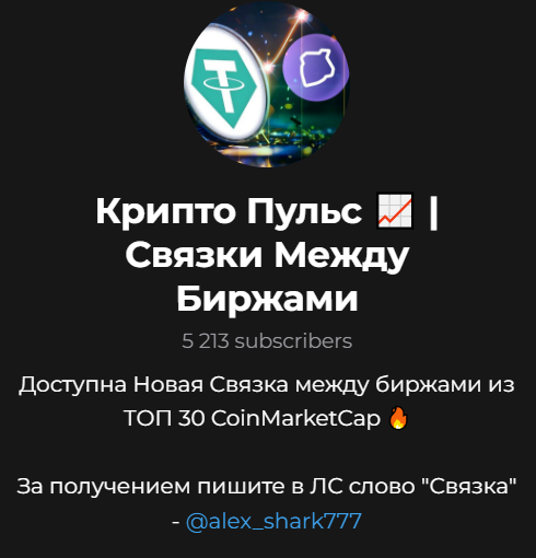 логотип Крипто Пульс