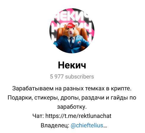 Некич лого