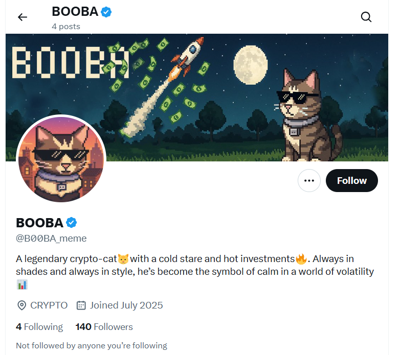 соц сети BOOBA