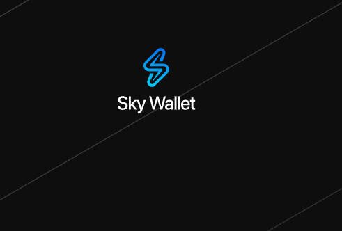 лого Sky Wallet