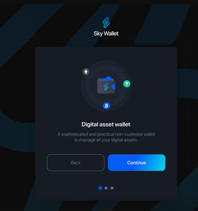 обзор на Sky Wallet