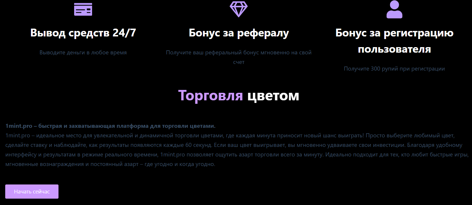 обзор на 1Mint.pro