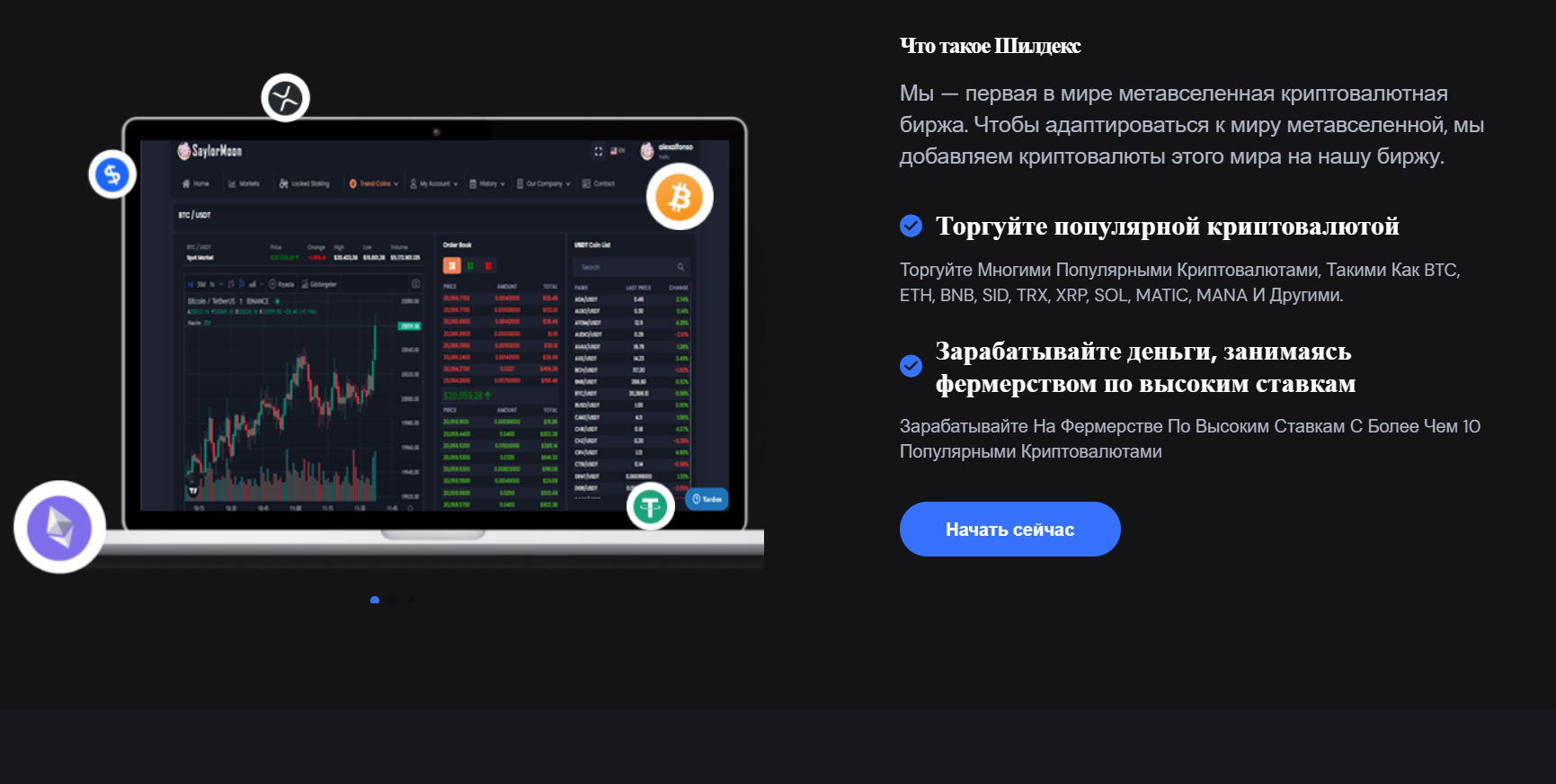 обзор на Shieldex