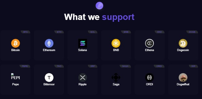 обзор на Fedgex