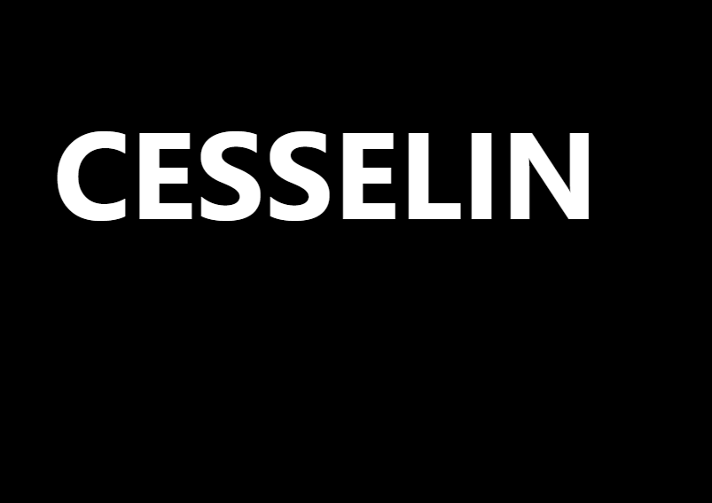 лого Cesselin