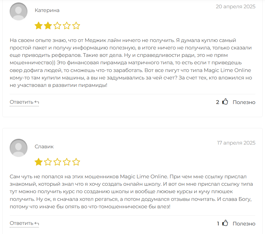 отзывы о Magic Lime Academy