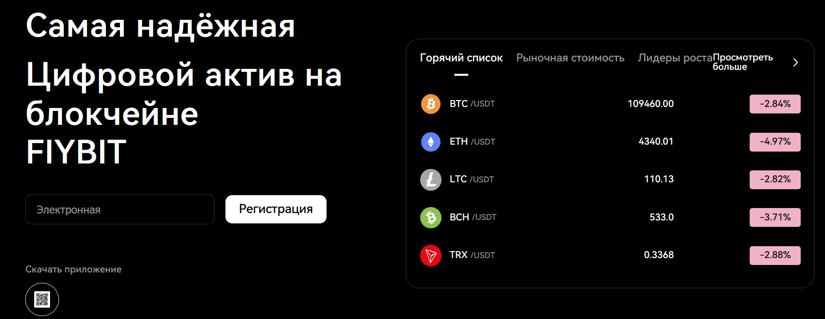 обзор на FIYBIT