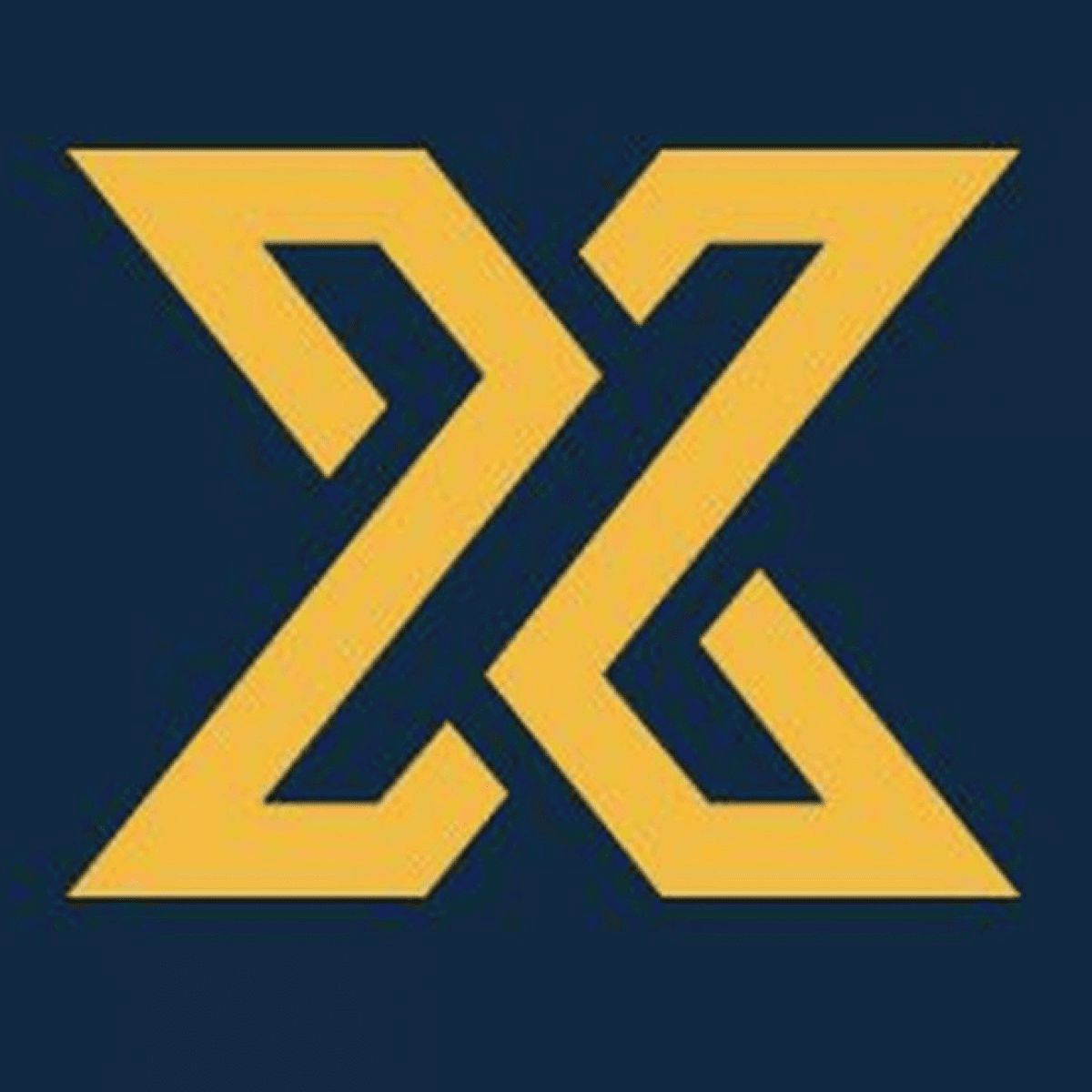 лого XeggeX