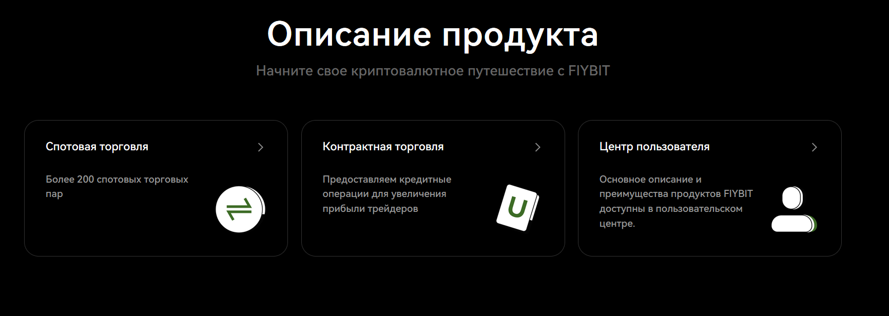 информация о FIYBIT