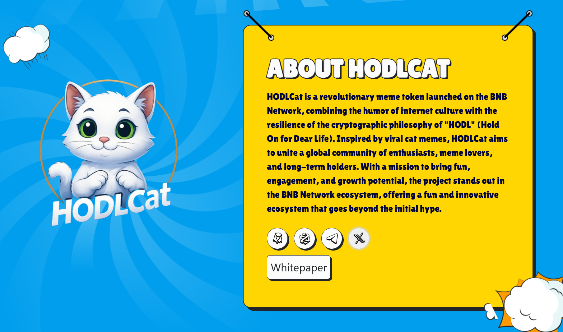информация о HODL Cat