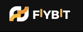 лого FIYBIT