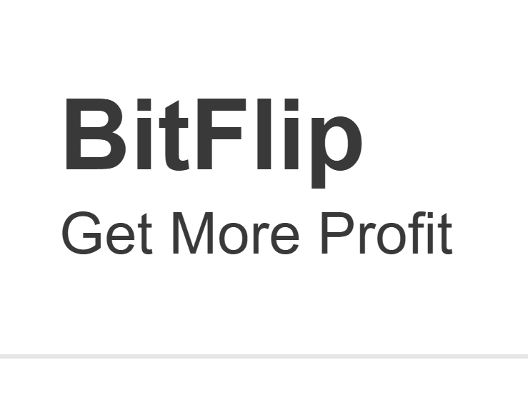 лого BitFlip