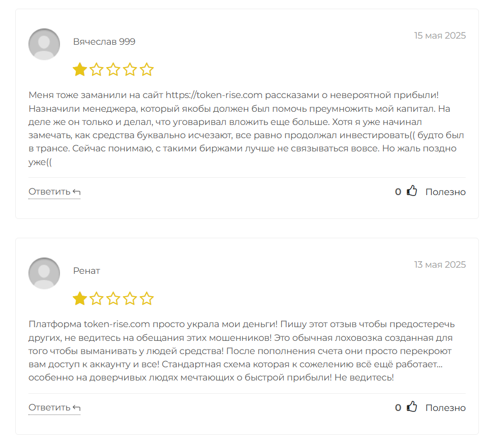 мнение о Token Rise