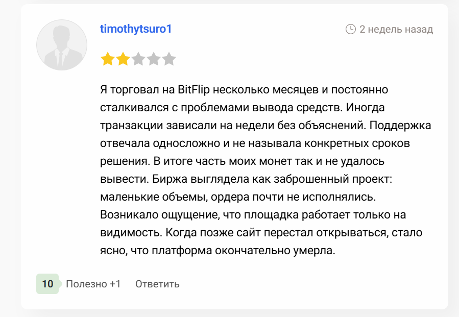 отзыв о BitFlip