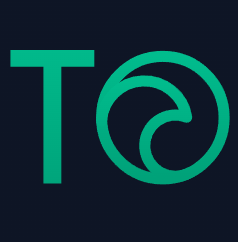 лого Token Rise