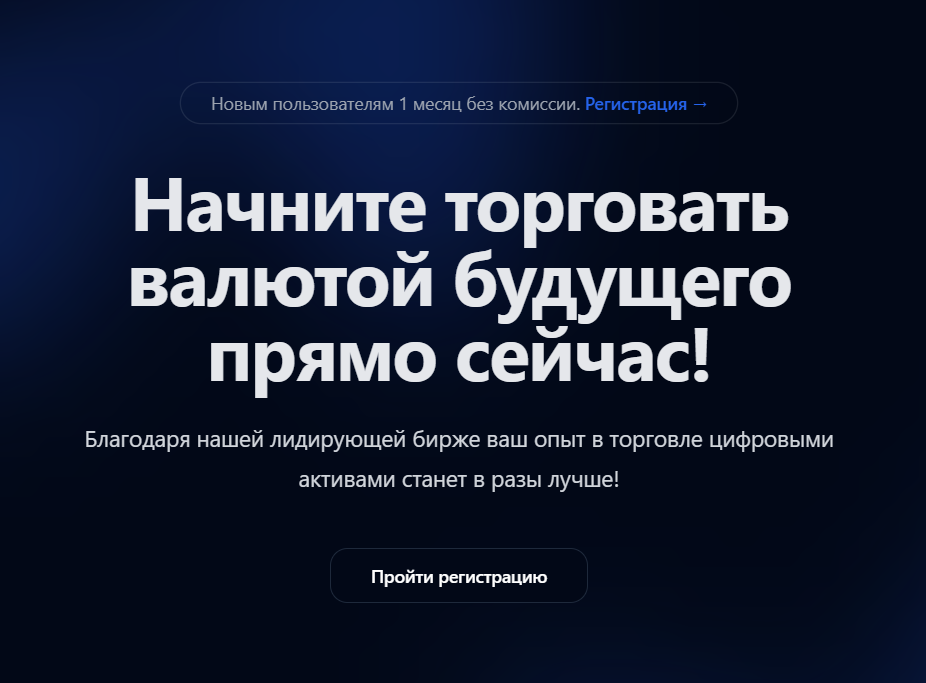 обзор на ZORPEX