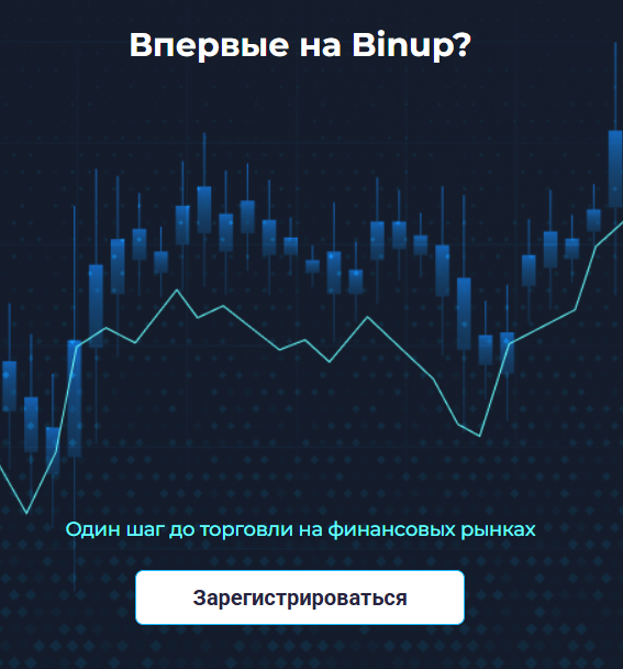 обзор на BinUp