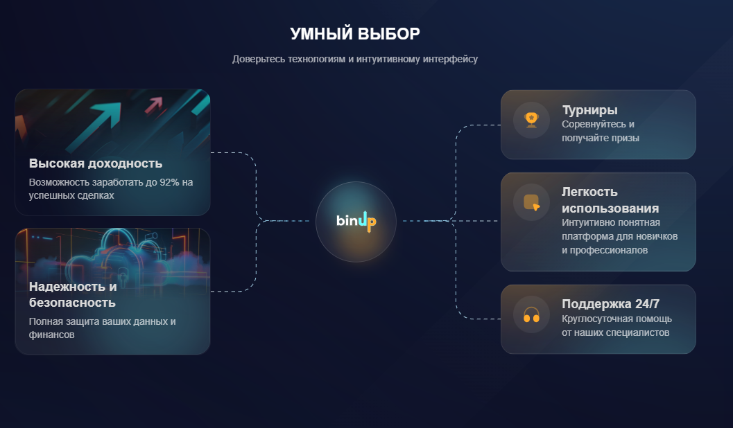 информация о BinUp