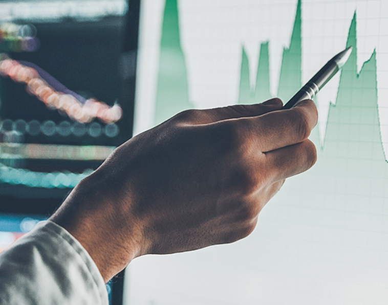 лого Светлана Велова